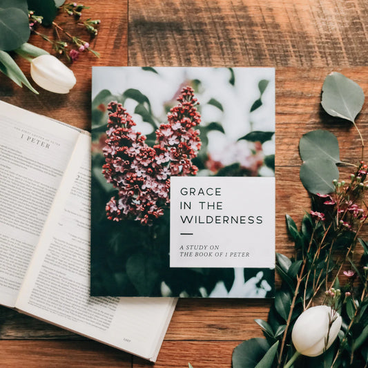 Grace in the Wilderness